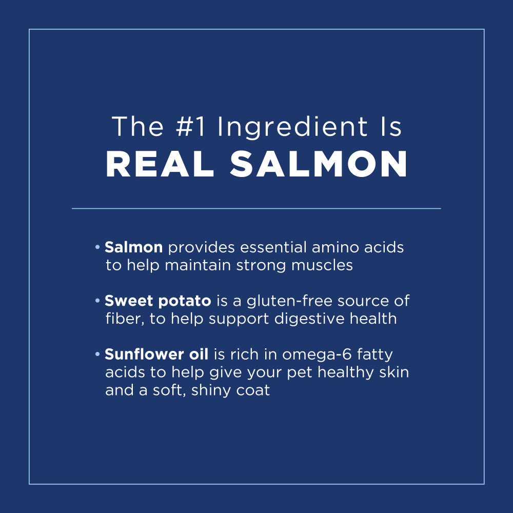 Natural Balance Limited Ingredient Grain Free Salmon & Sweet Potato Small Breed Recipe Dry Dog Food