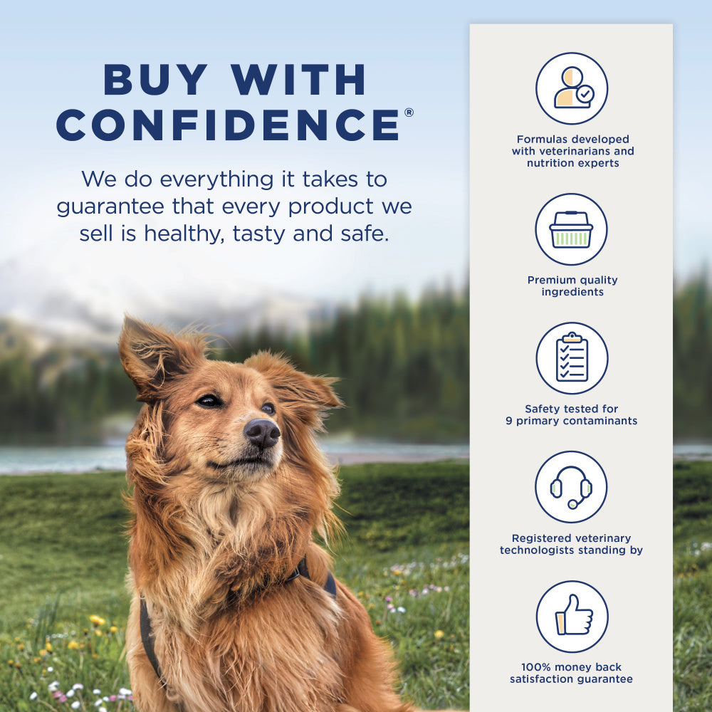 Natural Balance Limited Ingredient Salmon & Brown Rice Puppy Recipe Dry Dog Food