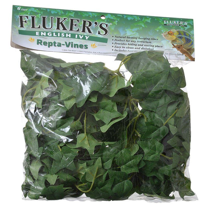 Fluker's English Ivy Repta-Vines