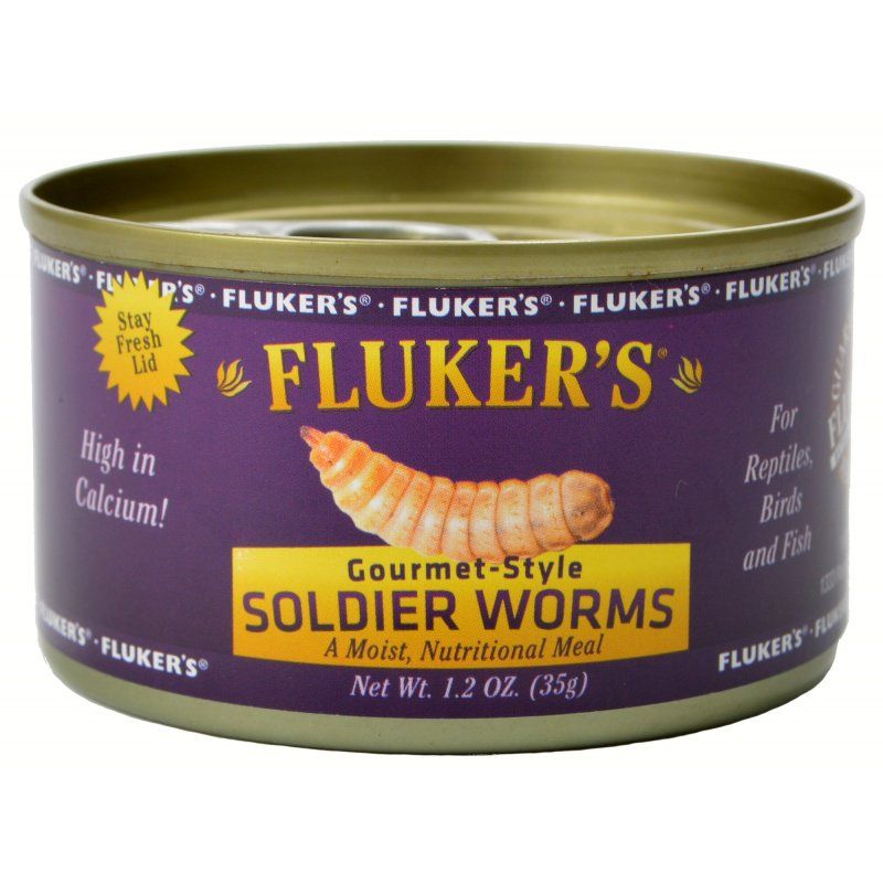 Fluker's Gourmet Style Soldier Worms
