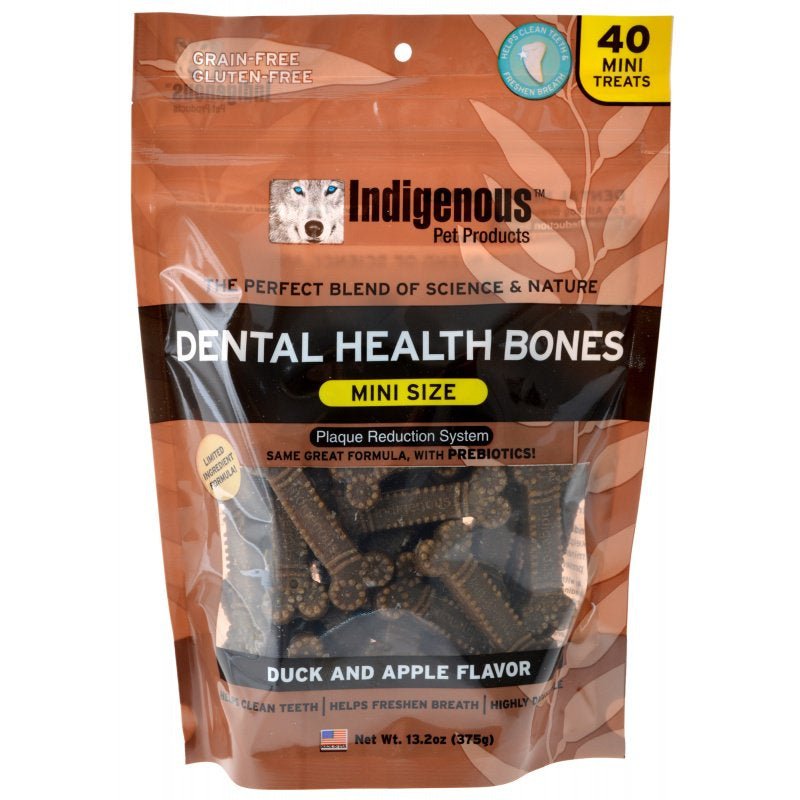 Indigenous Dental Health Mini Bones