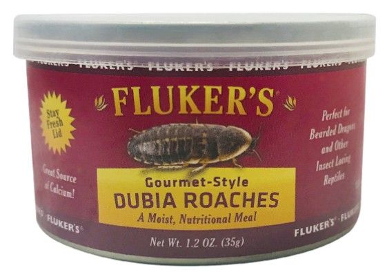 Fluker's Gourmet Style Dubia Roaches