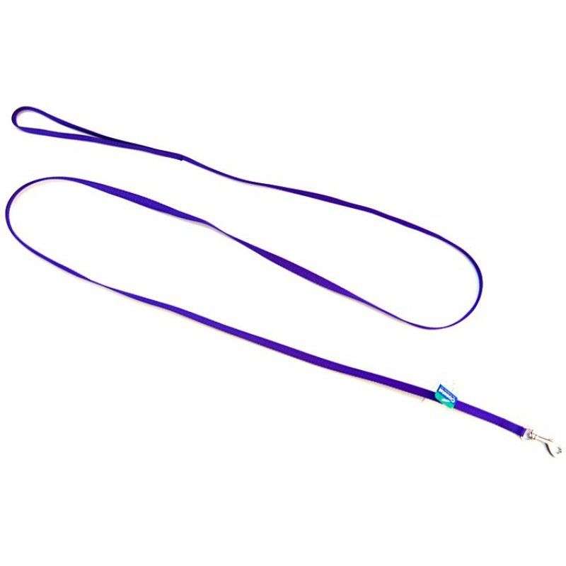 Coastal Pet Nylon Lead - Purple