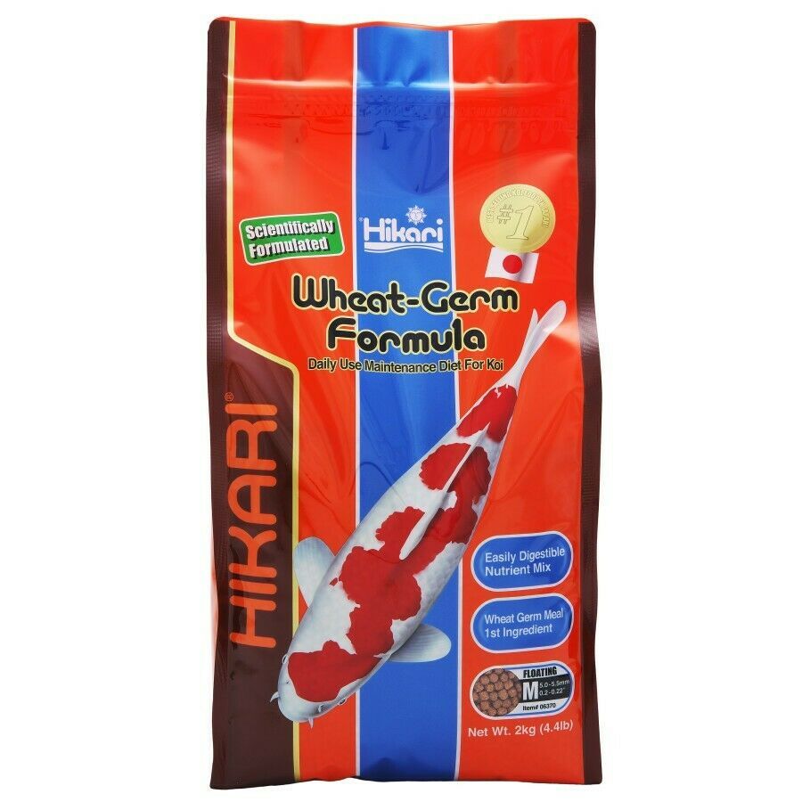 Hikari Wheat Germ - Medium Pellet