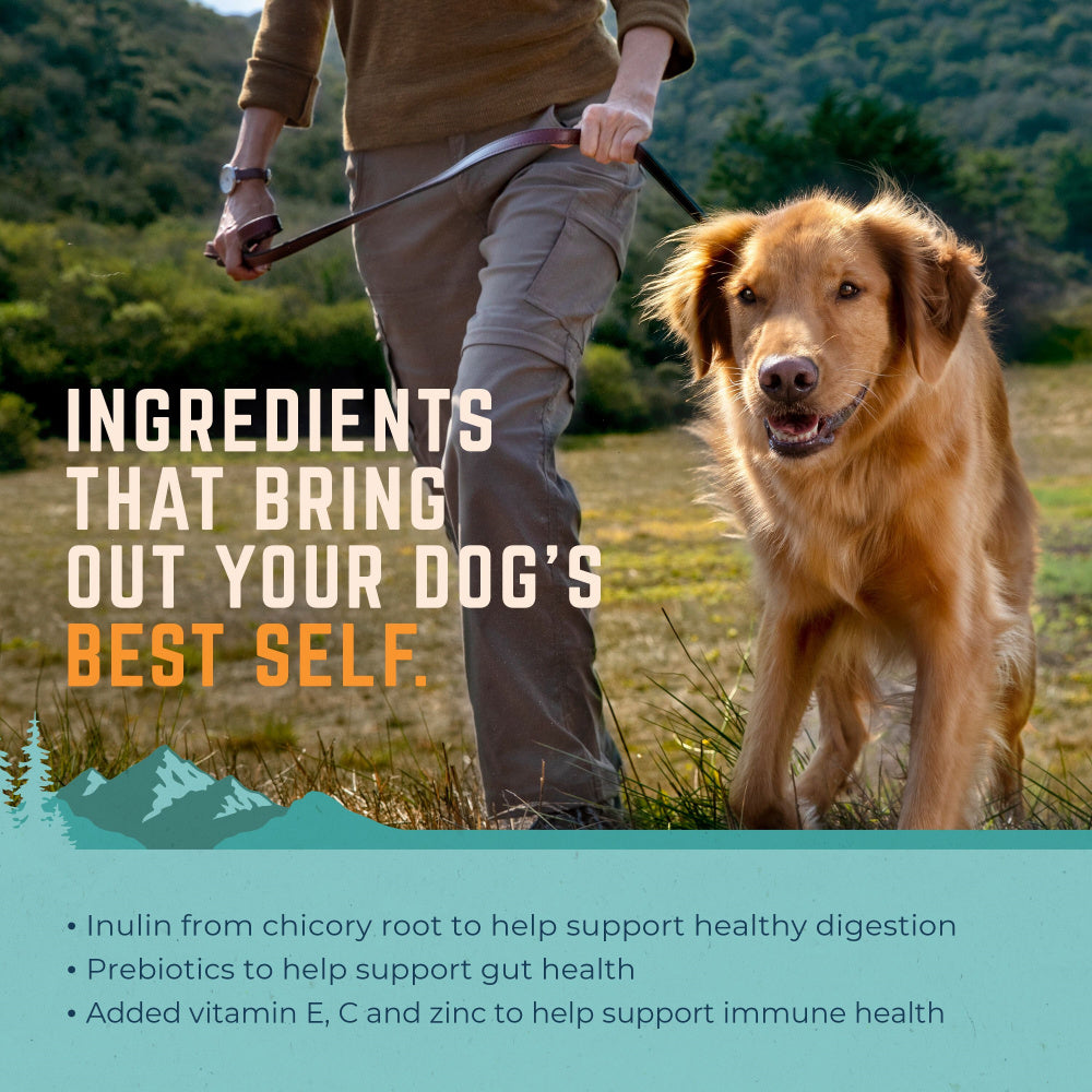 Natural Balance Targeted Nutrition Gentle Balance Chicken, Barley, & Salmon Meal Recipe Dry Dog Food