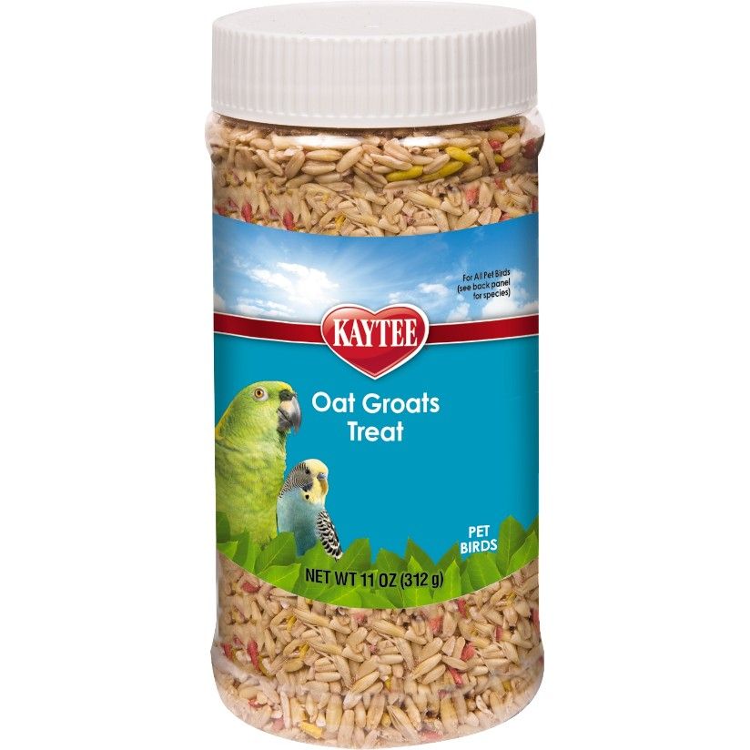 Kaytee Forti-Diet Pro Health Oat Groats Treat - All Birds