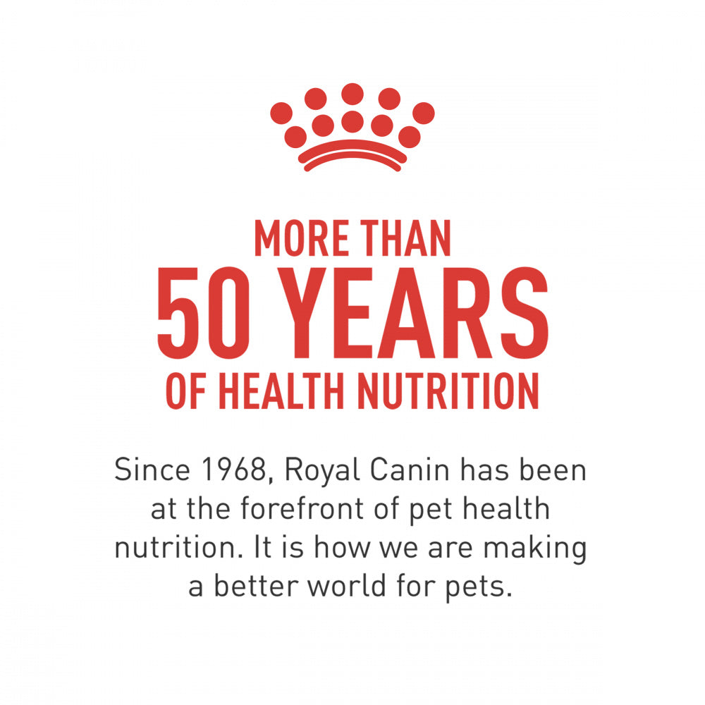 Royal Canin Breed Health Nutrition Cavalier King Charles Spaniel Puppy Recipe Dry Dog Food