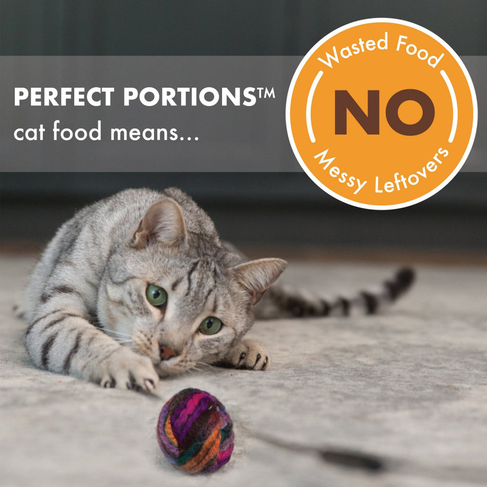 Nutro Perfect Portions Grain Free Cuts In Gravy Real Chicken & Salmon Recipe Wet Cat Food Trays