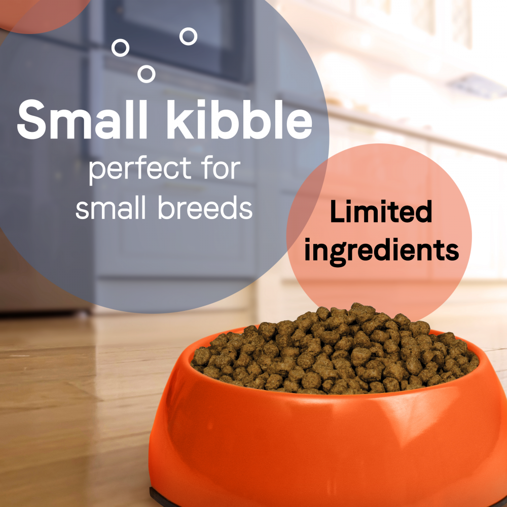 Canidae PURE Petite Small Breed Puppy Salmon Recipe Raw Coated Dry Dog Food