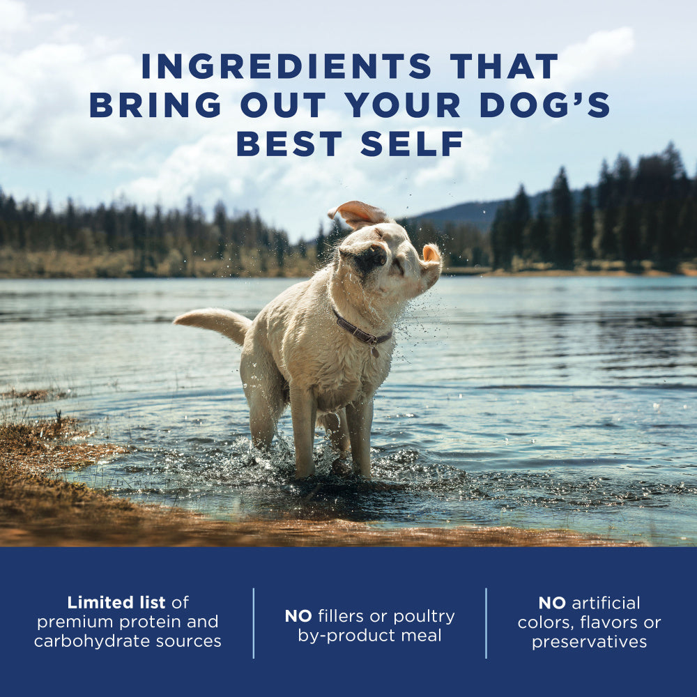 Natural Balance Limited Ingredient Salmon & Brown Rice Recipe Dry Dog Food