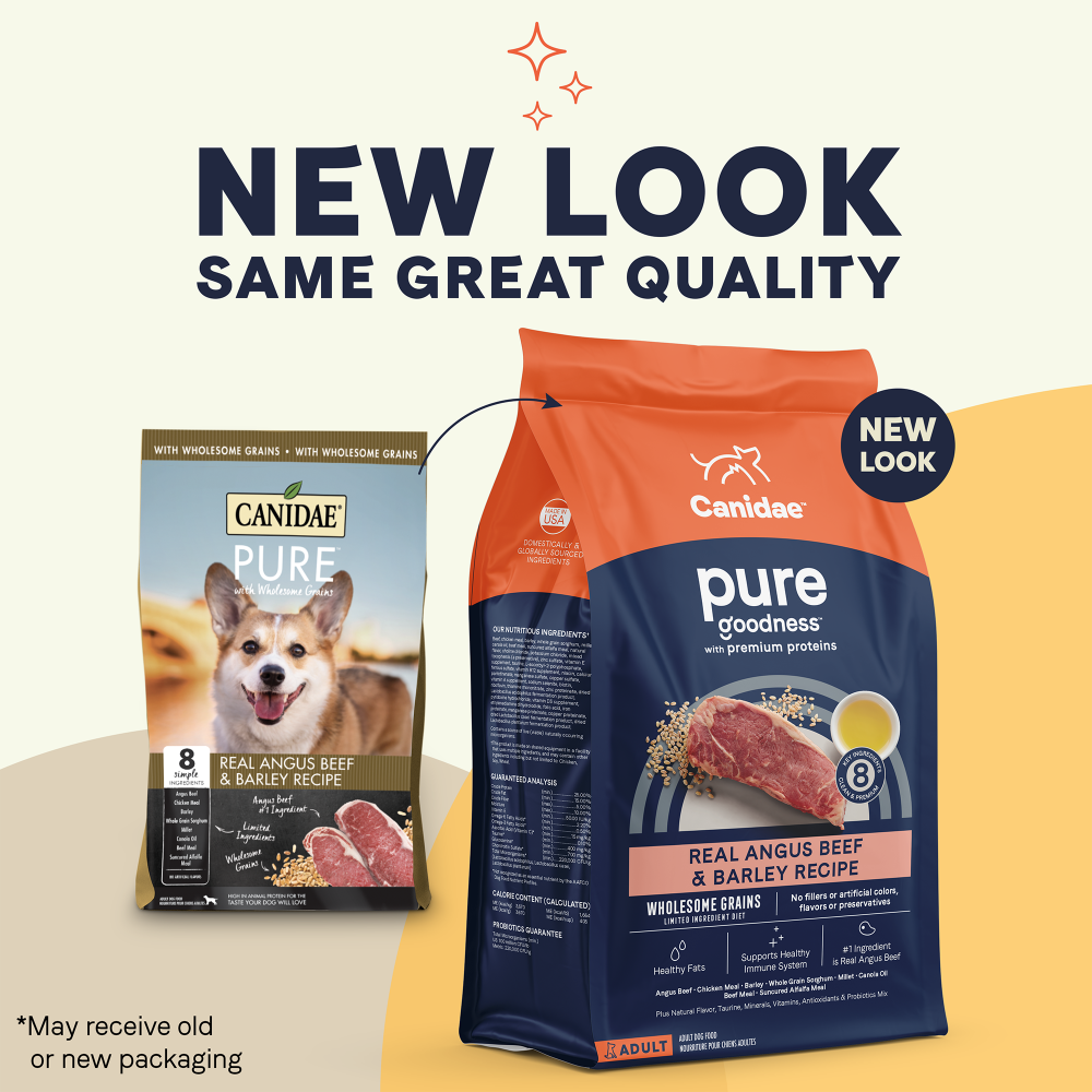 Canidae Pure with Grains Real Beef & Barley Recipe Dry Dog Food