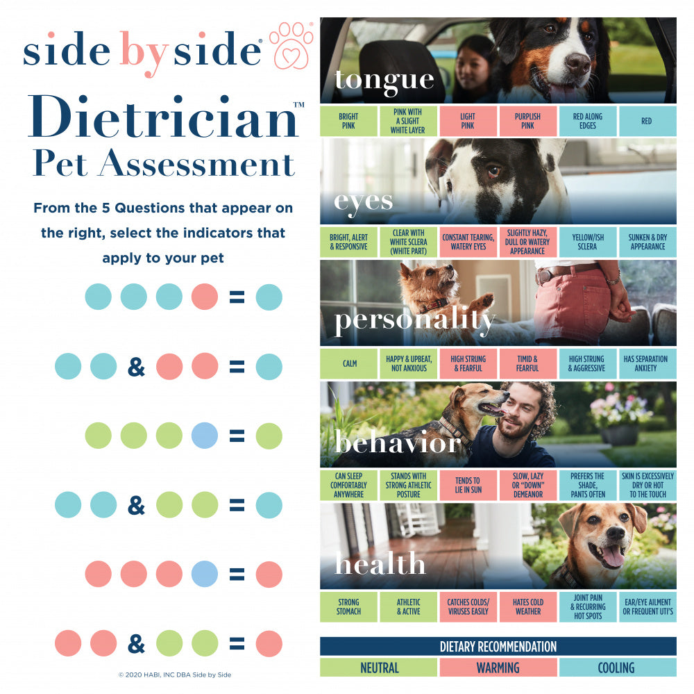 Side By Side Belly Balance Supplement for Prebiotic & Probiotic Digestive Support Capsules Dog Supplements