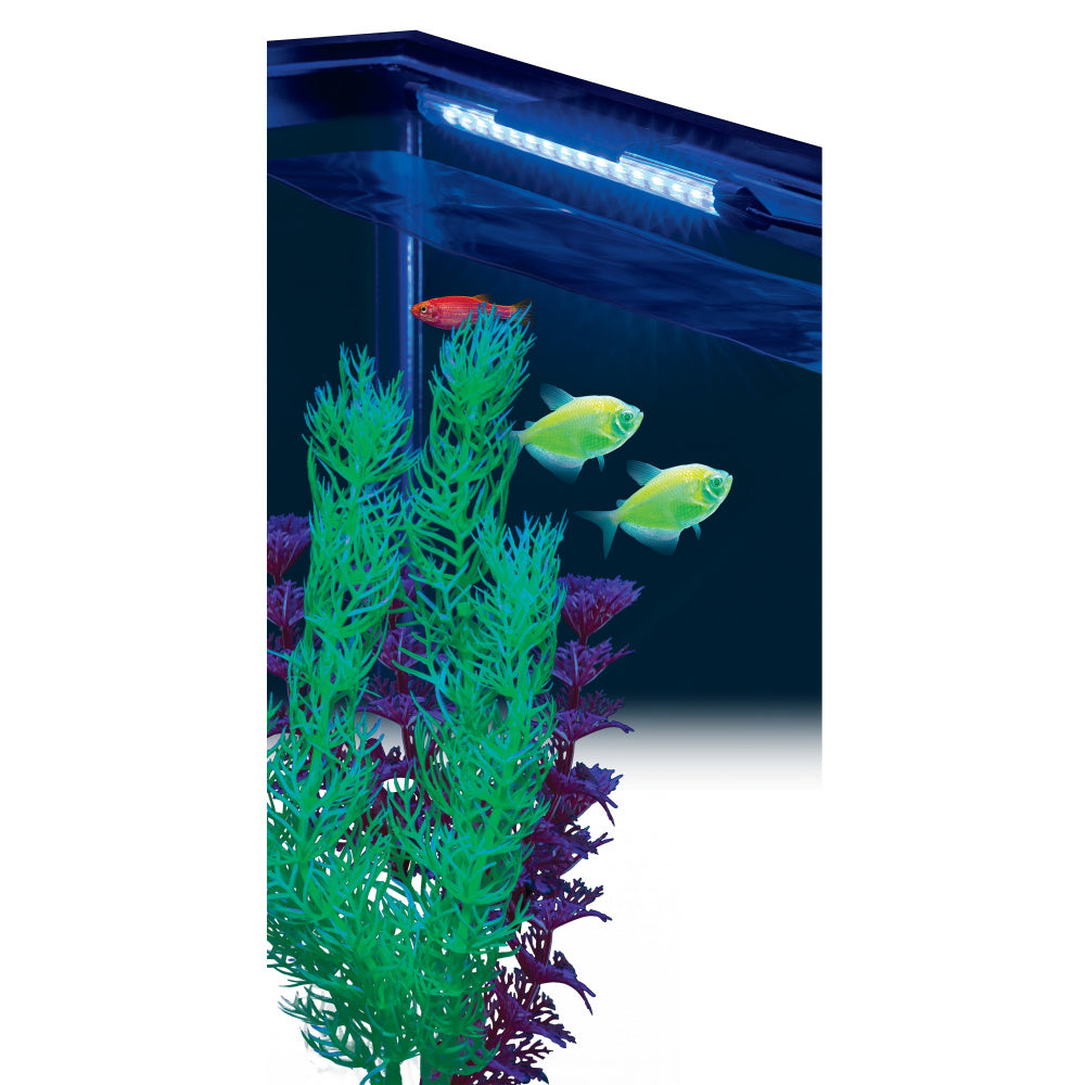 GloFish Half Moon Aquarium Kit with Blue LED Bubbler