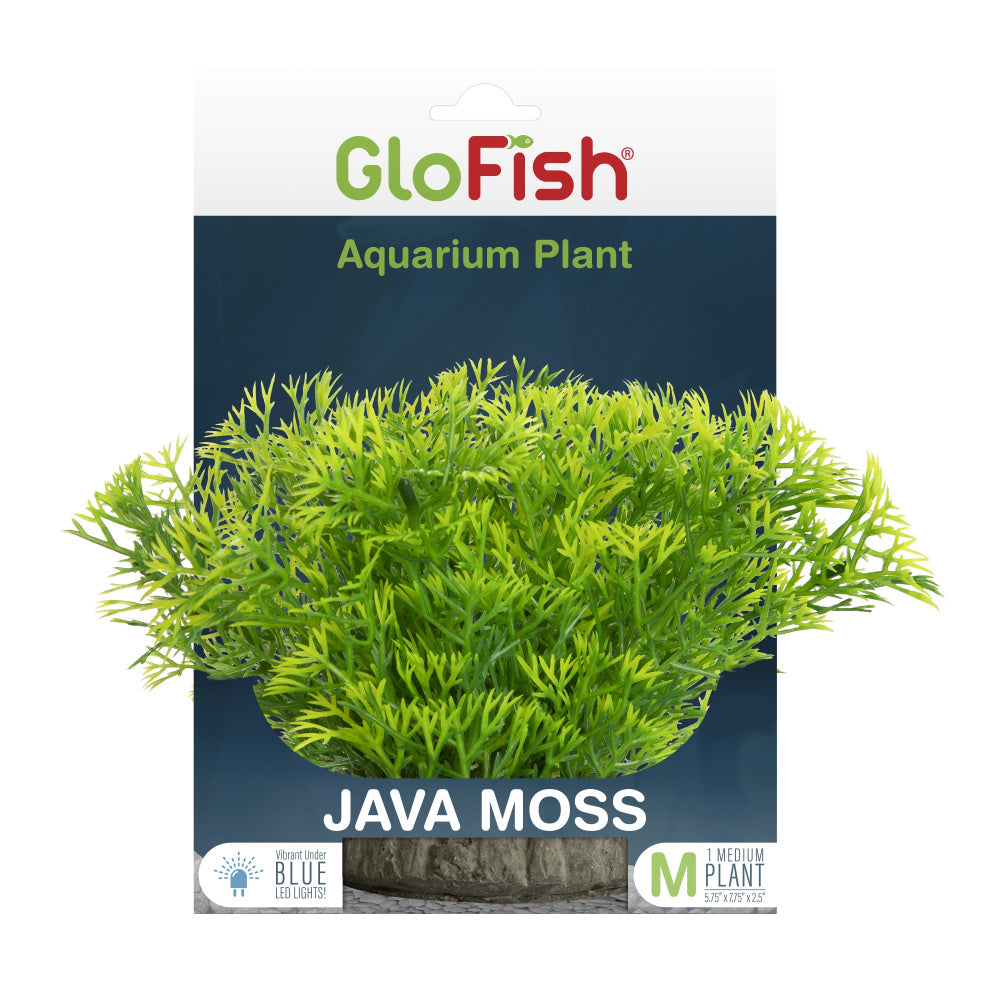 GloFish Plant Javamoss Tank Accessory
