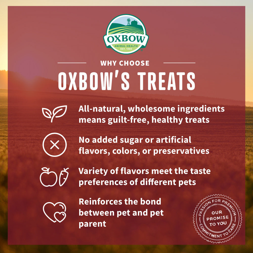 Oxbow Animal Health Simple Rewards Strawberry Treats
