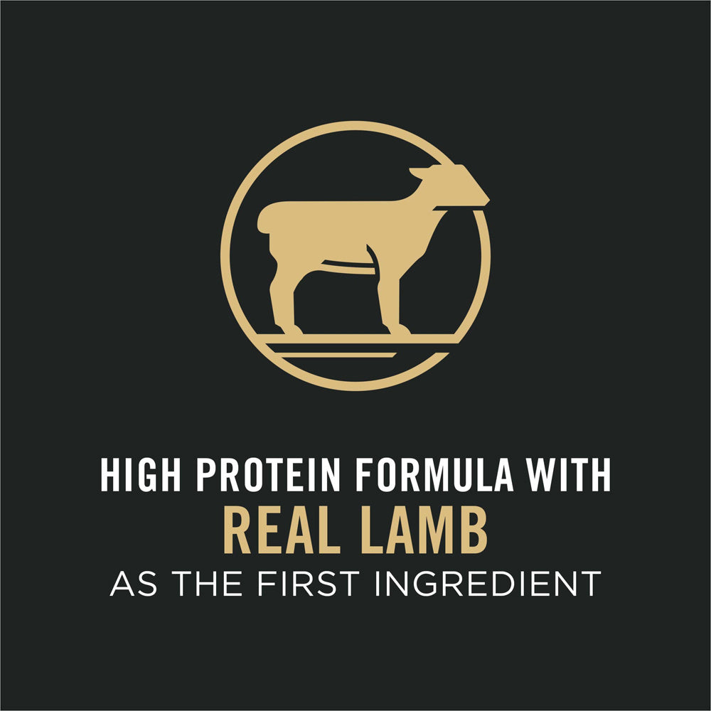 Purina Pro Plan Sensitive Skin & Sensitive Stomach Lamb & Oat Meal Formula Dry Dog Food