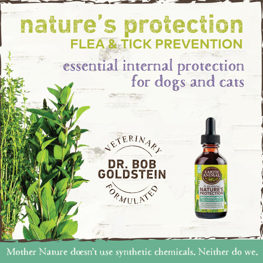Earth Animal Nature's Protection Flea & Tick Prevention Daily Internal Herbal Drops