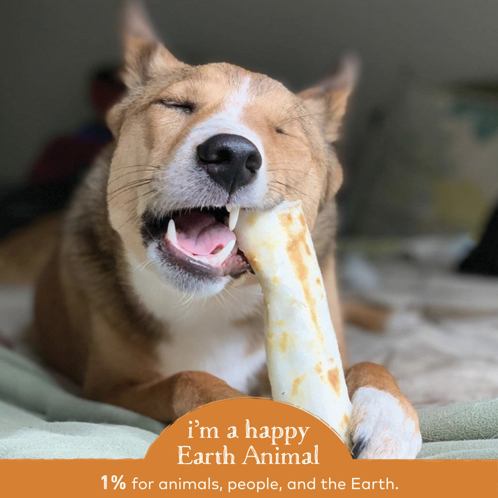 Earth Animal No-Hide Chicken Dog Chews
