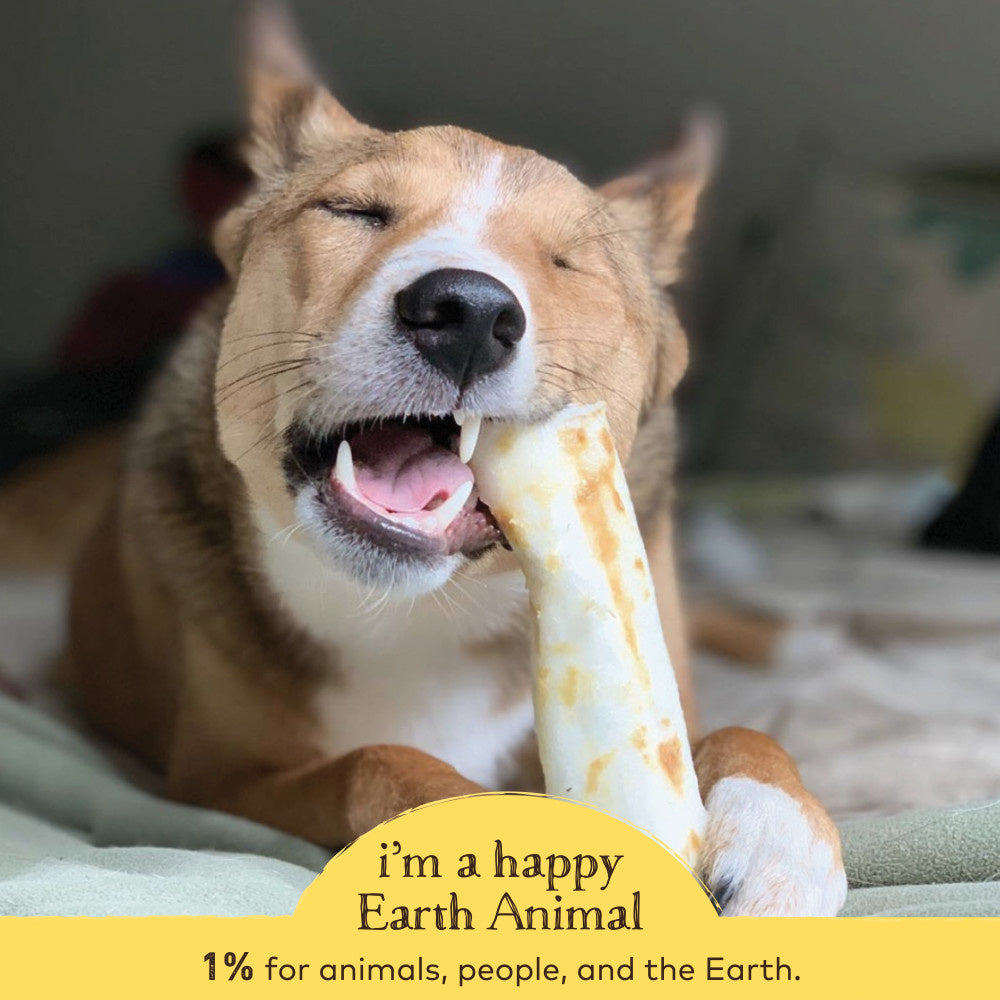 Earth Animal No-Hide Peanut Butter Dog Chews