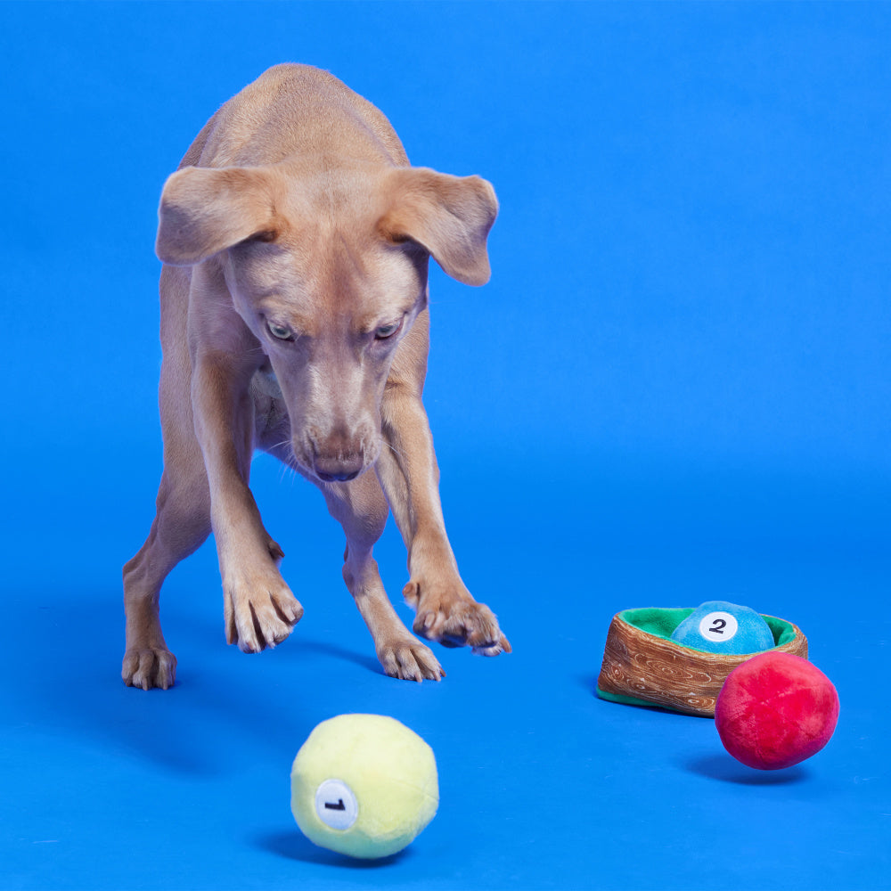 Bark Box Willard's Billiards Dog Toy