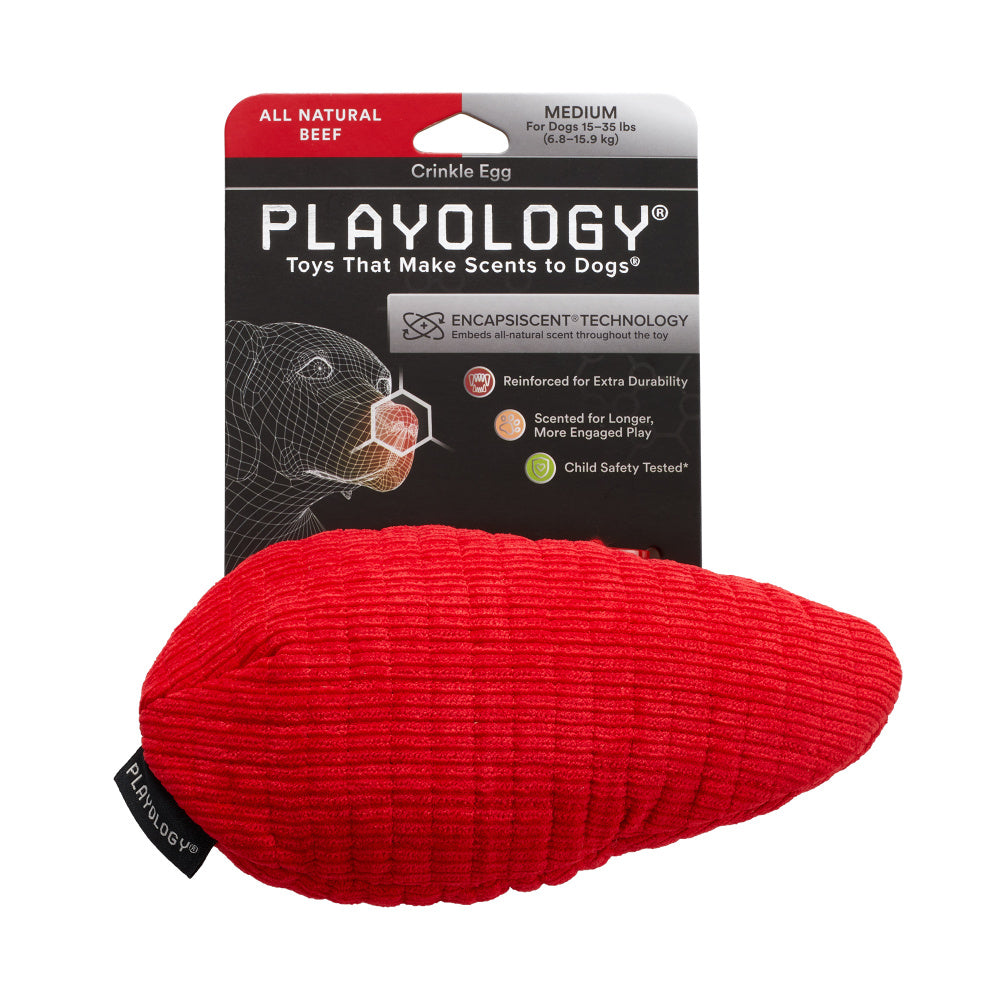 Playology Plush Egg Beef Scented Dog Toy