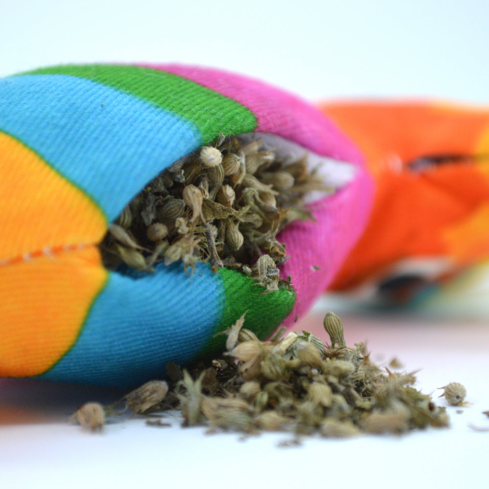Meowijuana Toy Get Smashed Pinata & Wand