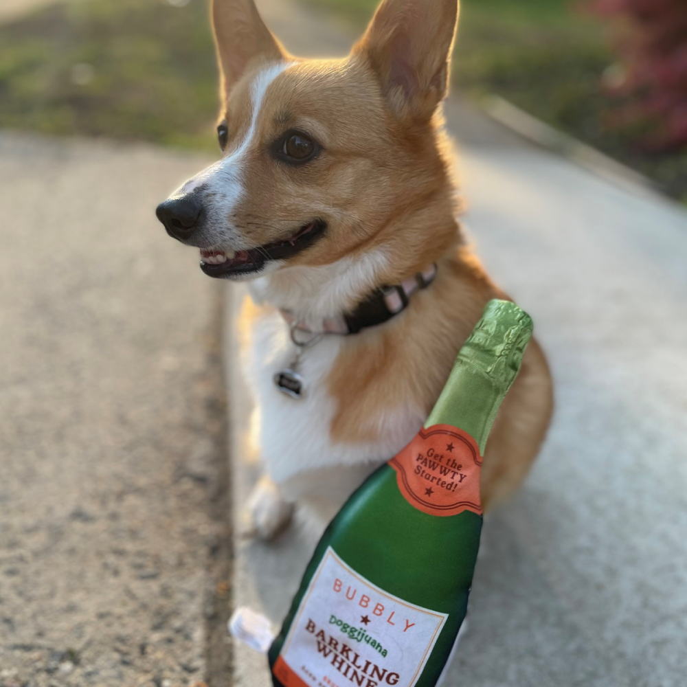 Doggijuana Get to the Pawty Champagne Bottle