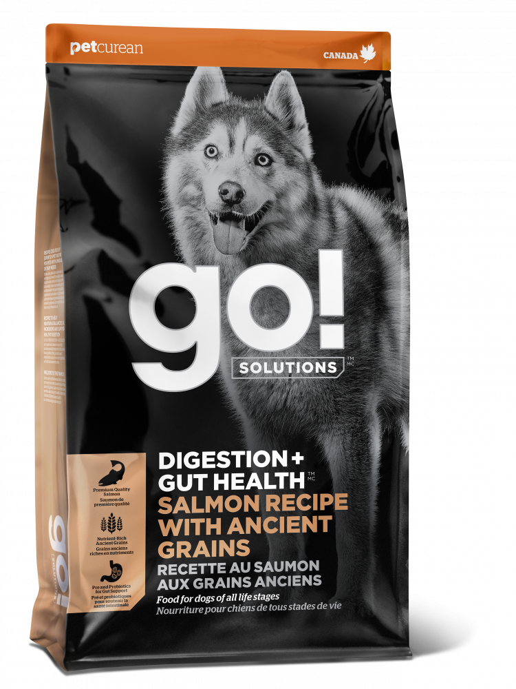 GO! SOLUTIONS DIGESTION   GUT HEALTH Salmon Recipe with Ancient Grains for dogs