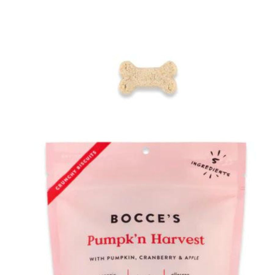 Bocce's Bakery Pumpk'n Harvest Small Batch Dog Biscuits
