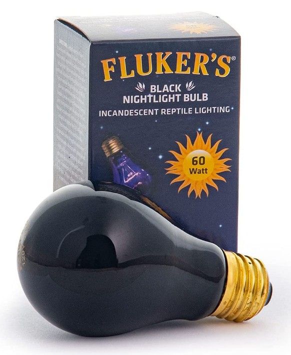 Fluker's Black Nightlight Incandescent Bulb