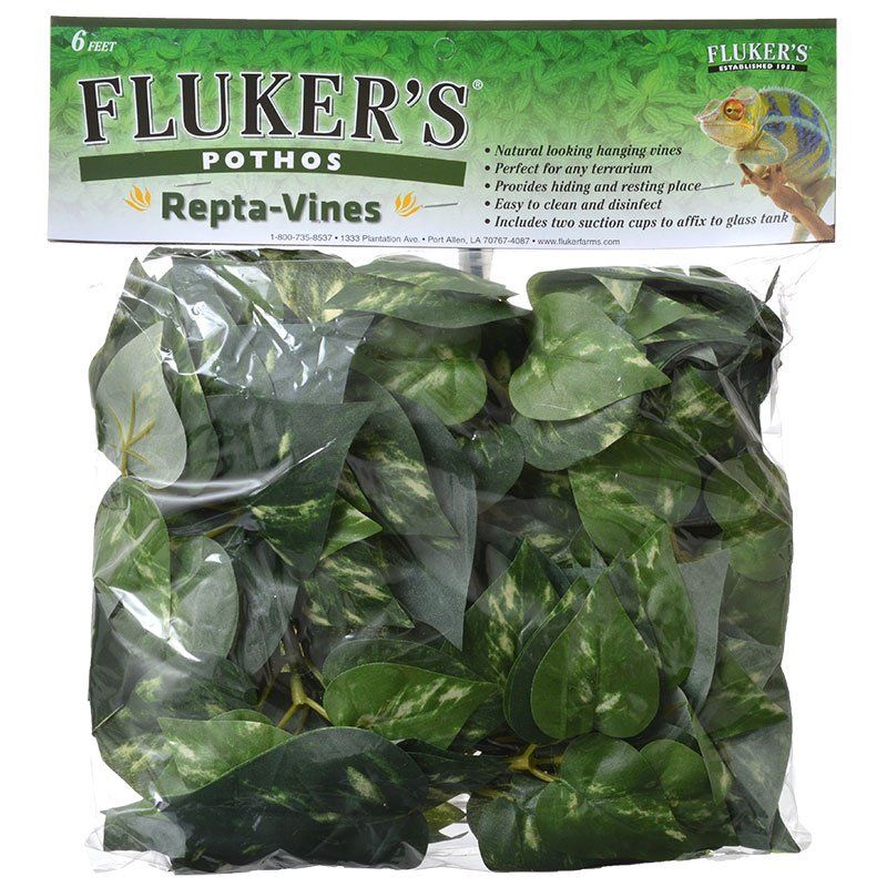 Fluker's Pothos Repta-Vines