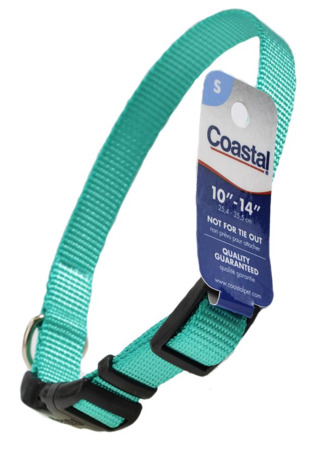 Coastal Pet Teal Nylon Tuff Dog Collar with Plastic Buckle