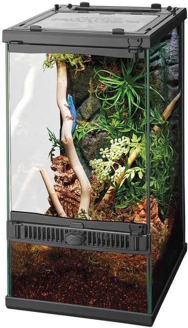 Zilla Front Opening Terrarium with Realistic Rock Foam Background 8"L x 10"W x 15"H