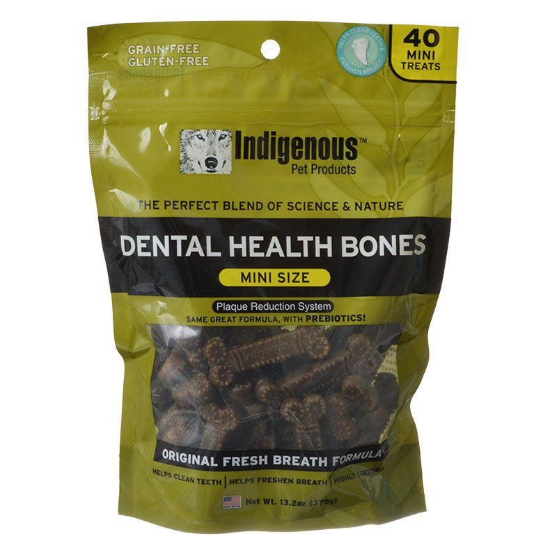 Indigenous Dental Health Mini Bones