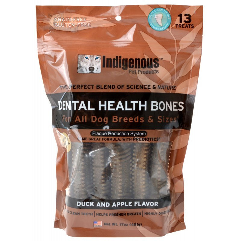 Indigenous Dental Health Bones